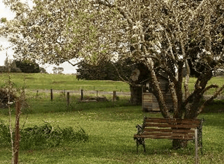 Lemon Gum B And B - Geraldton Accommodation 2