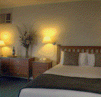 Ringwood Lake Inn - Geraldton Accommodation