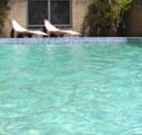Toreador Motel - Coffs Harbour - Geraldton Accommodation