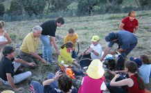 Linga Longa Farm Wingham - Geraldton Accommodation 3