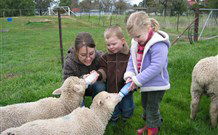 Linga Longa Farm Wingham - Geraldton Accommodation 2