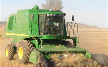 Linga Longa Farm Wingham - Geraldton Accommodation 4