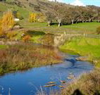 Ralda's Cottage - Geraldton Accommodation