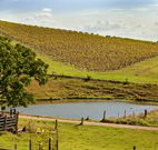 Sanctuary Hill Retreat - Geraldton Accommodation
