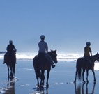 Whispering Brook - Geraldton Accommodation