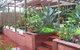 Bayviews B And B Port Stephens - - thumb 1