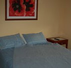 Busy Buzz - Geraldton Accommodation