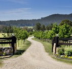 Pemberley Grange Hunter Valley Getaway - Geraldton Accommodation