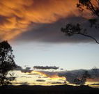 Silkwood B and B - Geraldton Accommodation