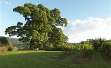 Silos Estate - - Geraldton Accommodation 1