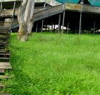 Snowy Valley Resort - Geraldton Accommodation