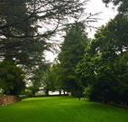 Brigalow Cottage - Geraldton Accommodation