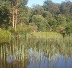Fosterton Lodge Retreat - Geraldton Accommodation