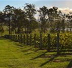Hidden Treasure - Geraldton Accommodation