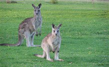 Leslie Cottage - Geraldton Accommodation 6