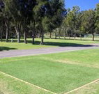 Spotted Gums on Hermitage - Geraldton Accommodation