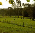 Stone Cottage Mittagong - Geraldton Accommodation