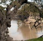Valley View Cottage Hunter Valley - Geraldton Accommodation