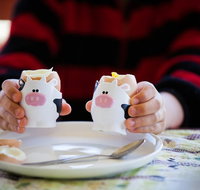 Cosy Cow Farmstay Bed and Breakfast - Geraldton Accommodation