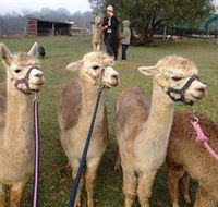 Bunyip Springs Farmstay - Geraldton Accommodation