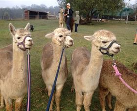 Bunyip Springs Farmstay - Geraldton Accommodation 0