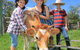 Bunyip Springs Farmstay - thumb 3