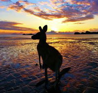 Cape Hillsborough Nature Tourist Park - Geraldton Accommodation