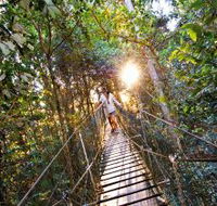 O'Reilly's Rainforest Retreat - Geraldton Accommodation