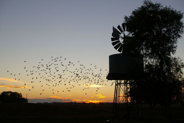 Tooraweenah NSW Geraldton Accommodation