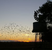 Nevertire Hotel - Geraldton Accommodation