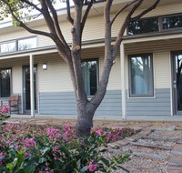 The Grape and Olive in Willunga - Geraldton Accommodation