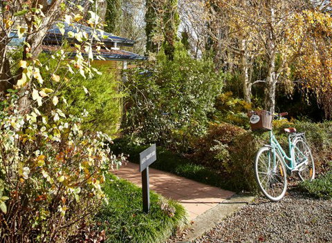 Pizzini's Vineyard Guesthouse - Geraldton Accommodation 5