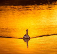 River Shack Rentals - Living the Dream - Geraldton Accommodation