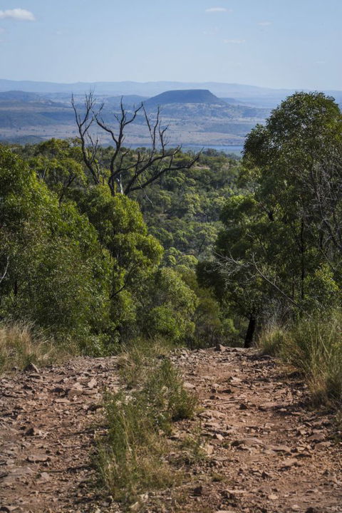 Kroombit Tops National Park Camping Ground - Geraldton Accommodation 3
