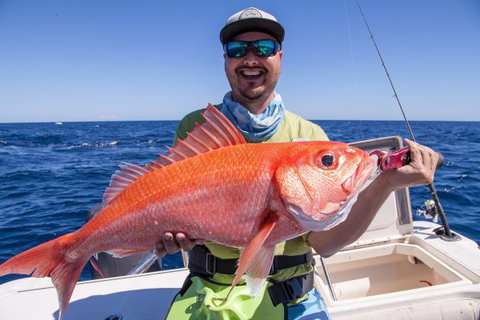 Mackerel Islands - Geraldton Accommodation 7