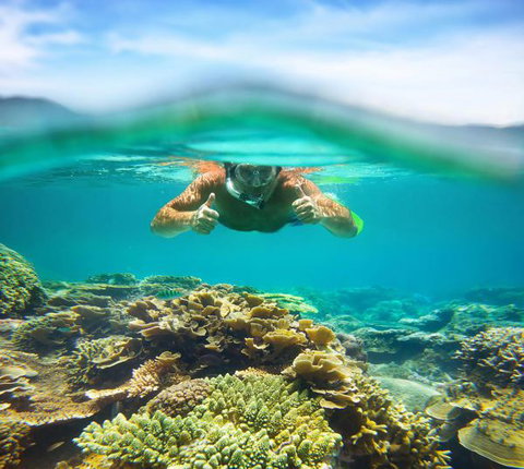 Mackerel Islands - Geraldton Accommodation 8