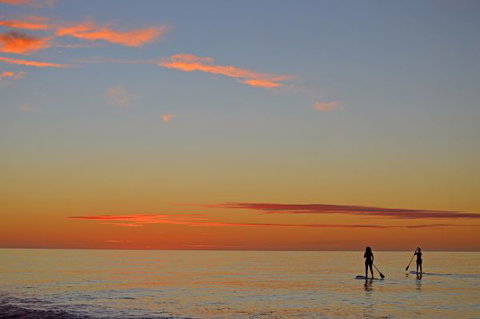 Mackerel Islands - Geraldton Accommodation 9