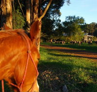 Billa Billa Farm Cottages - Geraldton Accommodation
