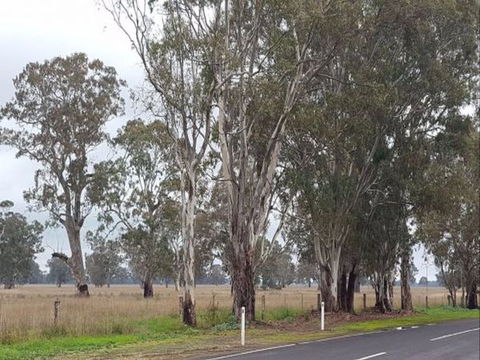 The Gums - Geraldton Accommodation 8
