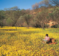 Miners Camp at Coalseam National Park - Geraldton Accommodation