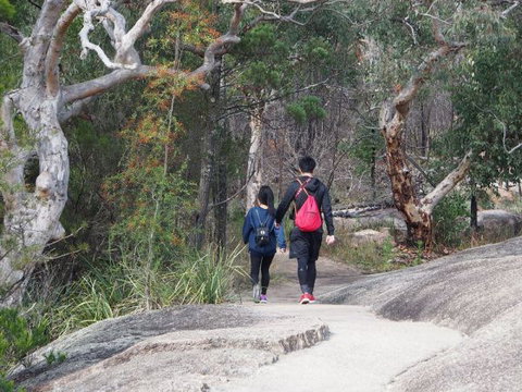 Girraween National Park Camping Ground - Geraldton Accommodation 2