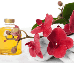 Sunny Hill Retreat Accommodation  Day Spa - Geraldton Accommodation