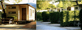 Bright Pine Valley Tourist Park - Geraldton Accommodation 3