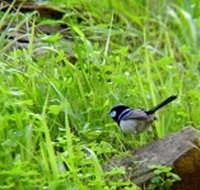 Morialta Bed And Breakfast