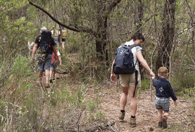Bicheno East Coast Holiday Park - Geraldton Accommodation 3