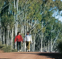 Congelin Camp at Dryandra Woodland - Geraldton Accommodation