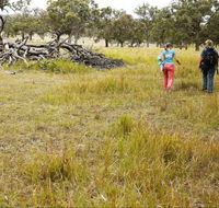 Carnarvon National Park camping - Geraldton Accommodation