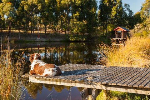 Otway Escapes Luxury Spa Accommodation - Geraldton Accommodation 2