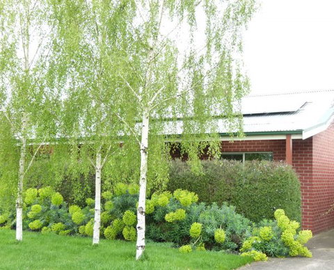 Birralee Cottage - Geraldton Accommodation 0