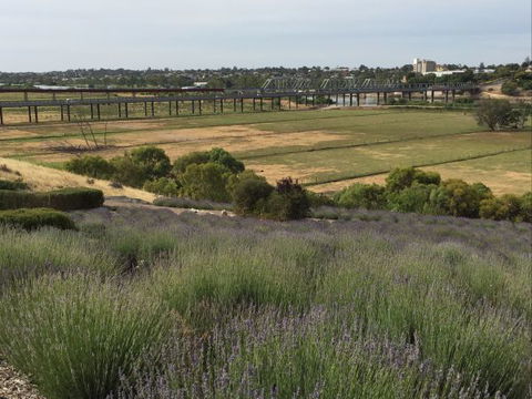 Brayfield Cottage - Geraldton Accommodation 1
